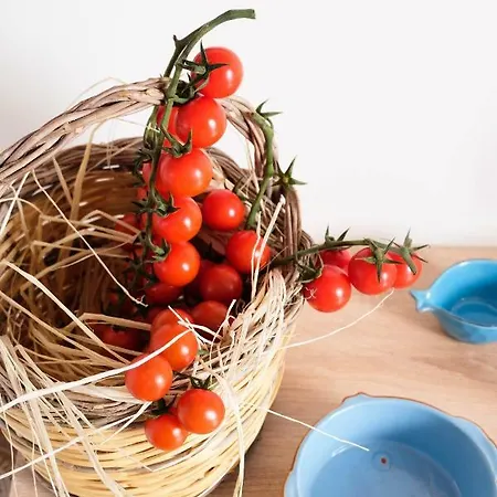 La Dimora Al Mare * モノーポリ