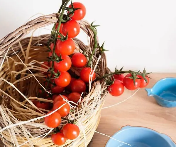 La Dimora Al Mare * Monopoli